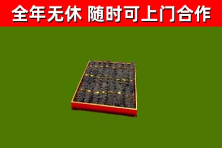 甘孜州回收海参